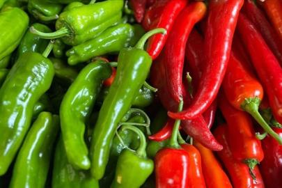 Batı Akdeniz'de biber ihracatıyla şampiyonluk geldi