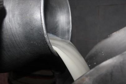 Çiğ süt tavsiye fiyatı: Litre başına 22,22 lira