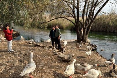 Muğla Akyaka, The Guardian'da