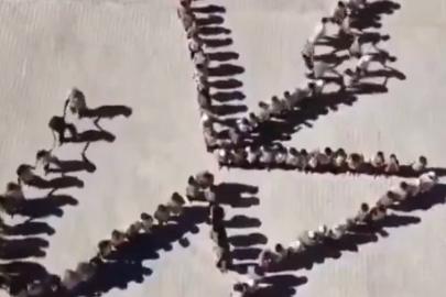 Adıyaman'da öğrenciler, anlamlı bir koreografiye imza attı