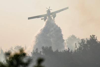 Türkiye, orman yangınlarıyla mücadelede araç sayısını artırıyor